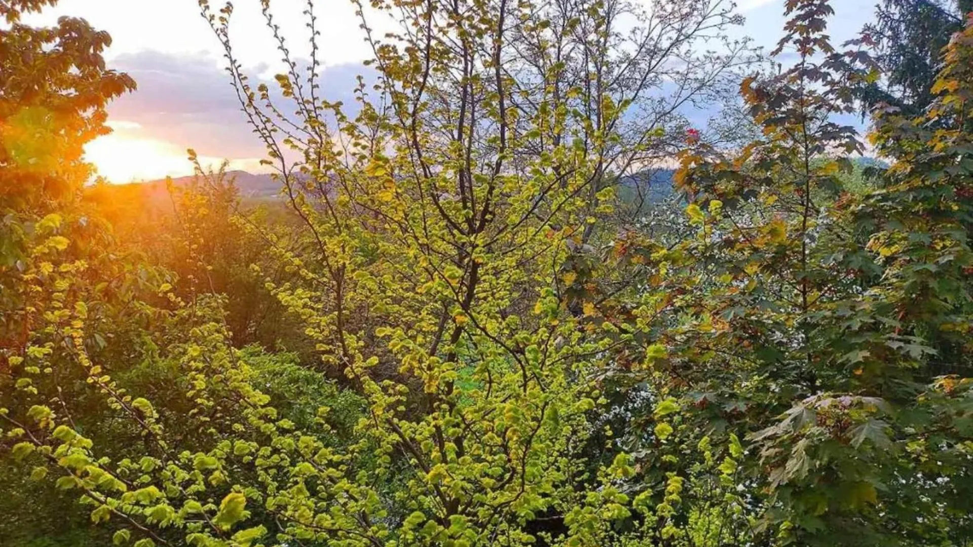 Lejlighed Holiday Home With Garden In Weissenbrunn Tyskland