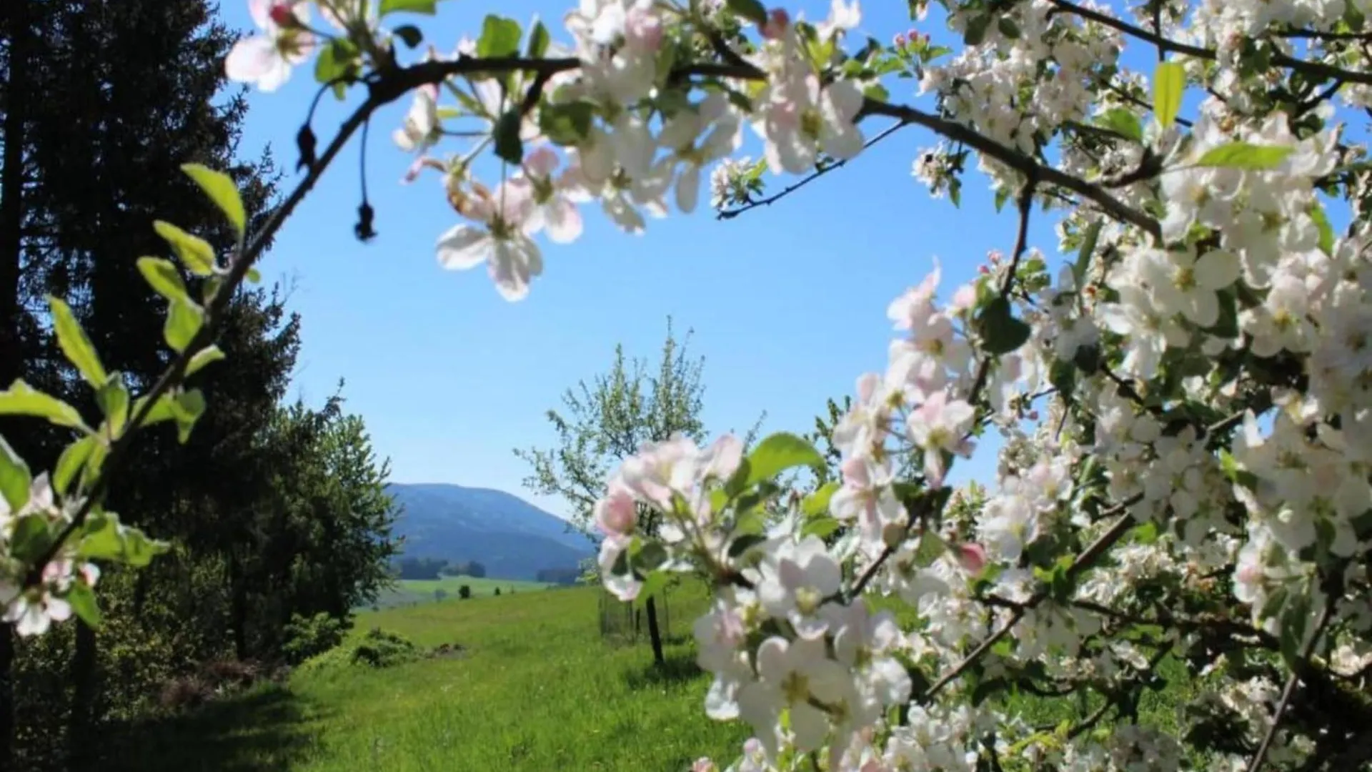 Holiday Home With Garden In Weissenbrunn Lejlighed